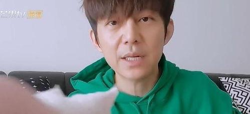 何炅最新爆料辟谣是真的吗,真相揭晓，网络谣言不攻自破