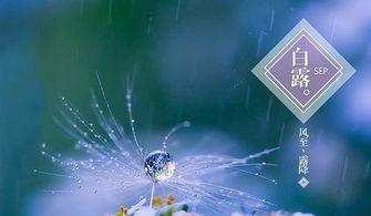 白露炫彩最新爆料,揭秘神秘彩妆背后的故事